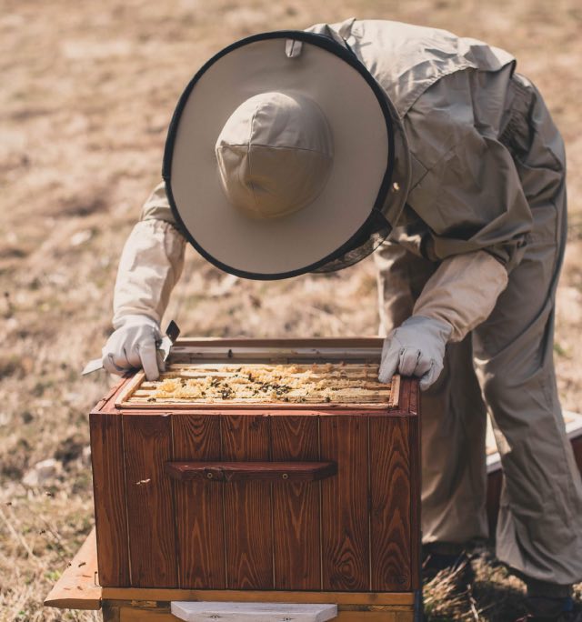 Beekeeper